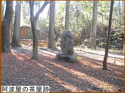 ���g���̒�����