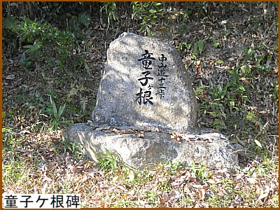 ���q�P����