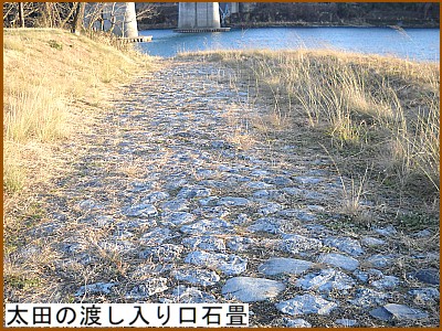 ���c�̓n��������Ώ�