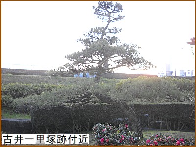 �È�ꗢ�ːՕt��