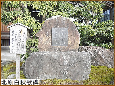 �k�����H�̔�