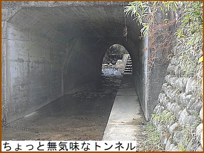 ������Ɩ��C���ȃg���l��