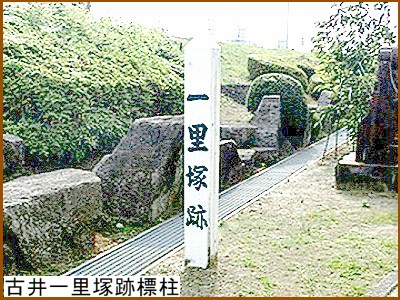 �È�ꗢ�ːՕW���v