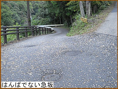 �͂�ςł͂Ȃ��}��