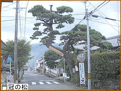 �劥�i���񂩂Ԃ�j�̏�