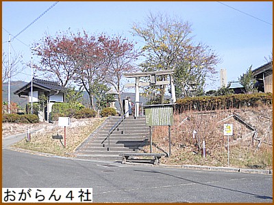 �������S��