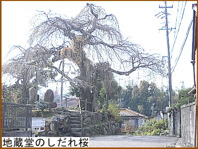 �n�����̂������