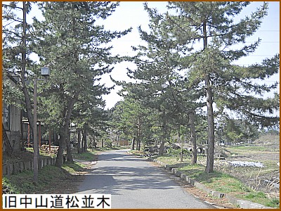 �����R��������