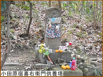 ���c���h��E�q�募�{��