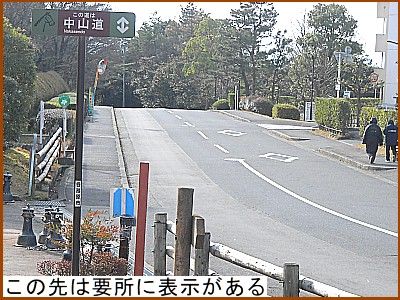 �v���ɕ\�������鋌���R��