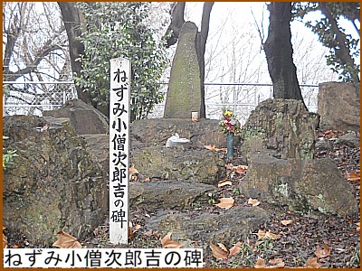 �˂��ݏ��m���Y�g�̔�