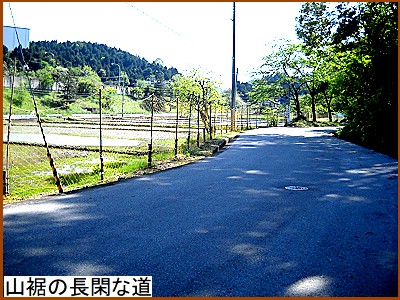 �R���̒��Ղȓ�