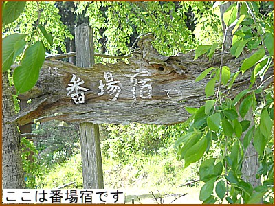 �菑�����ꂽ�ԏ�h�ؐ��̊Ŕ�