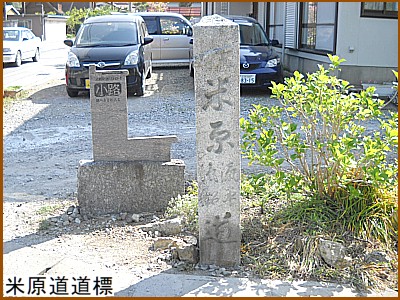 �Č������W