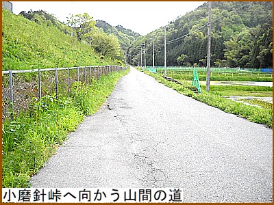 �����j���֌������R�Ԃ̓�