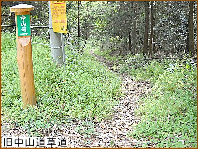 �����R������