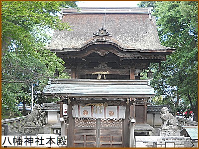 �����_�Ж{�a