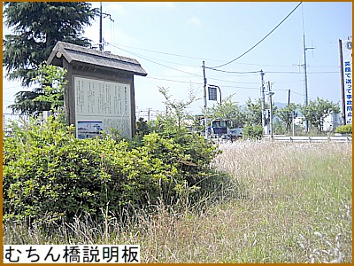 �ނ��񋴐�����