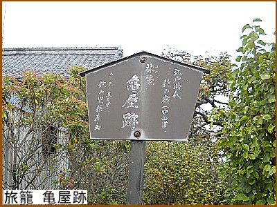 ���� �T����