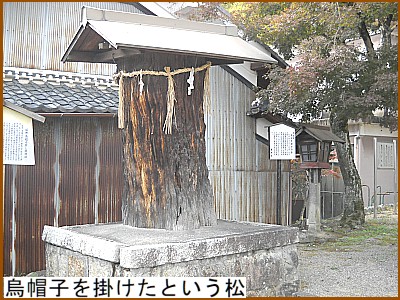 �G�X�q���|�����Ƃ�����