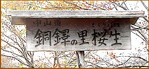 �����̗������Ŕ�