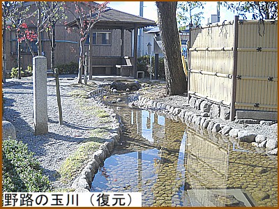 ��H�̋ʐ�i�����j