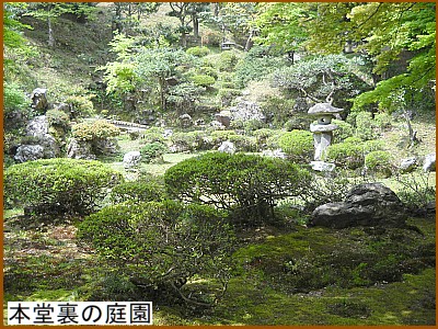 �{�����̒뉀