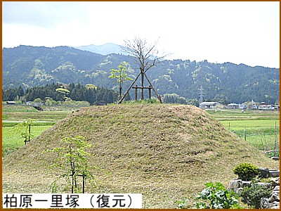 �����ꗢ�ˁi�����j