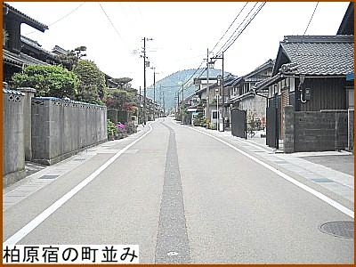 �����h�̒�����