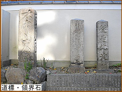 ���W�E�̊E��