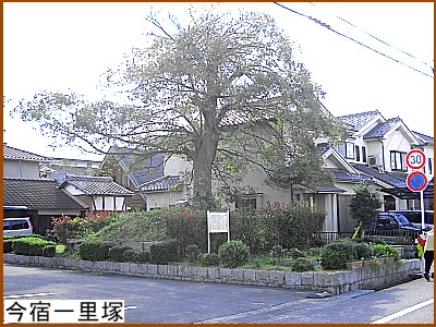 ���h�ꗢ��