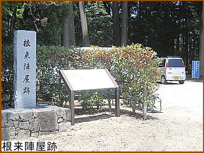 �����w����