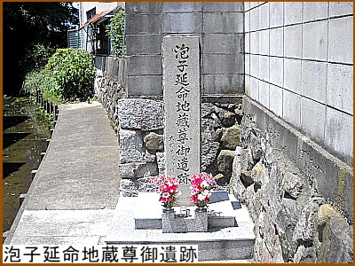 �A�q�����n��������