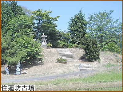 �Z�@�V�Õ�