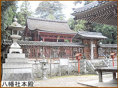 �����Ж{�a