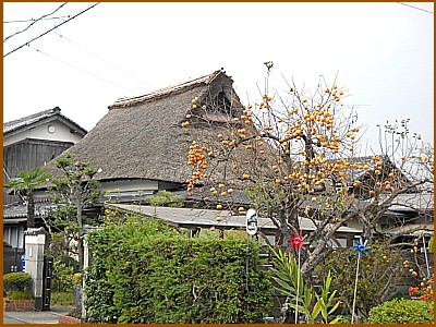 �����Ɏ������`�����������ɗǂ��������i�F