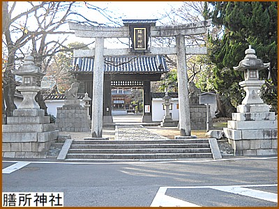 �V���_��