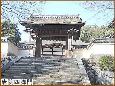 ���@�l�r��