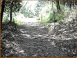 �]�ˎ��ォ��̓�