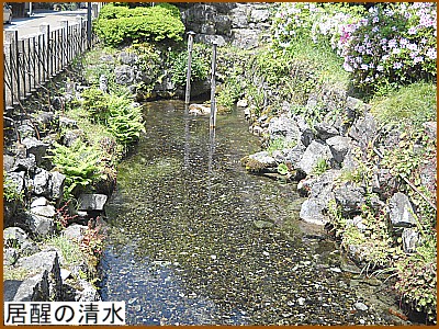 �����̐���