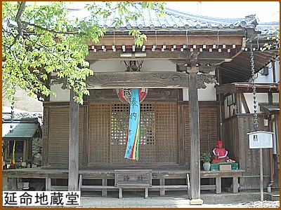 �����n����