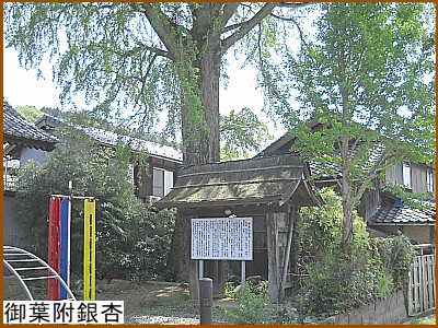 ��t�����