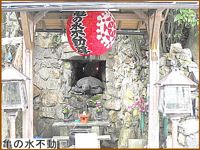 �T�̐��s��