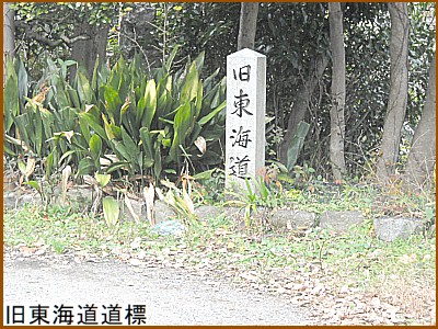 �����C�����W