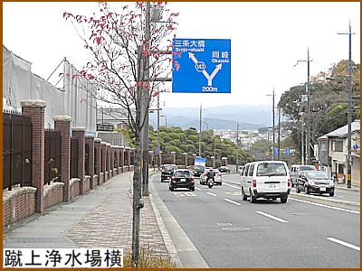 �R��i�������j�򐅏ꉡ