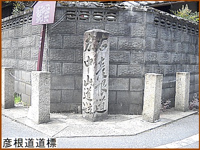 �F�������W