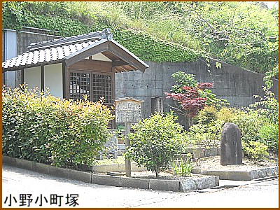 ���쏬����