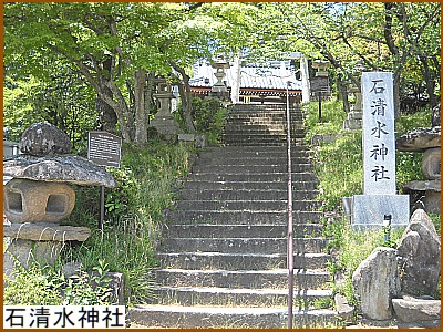 �ΐ����_��