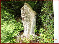 �v�����@�ؑ]��l���̍����@�@�@�@�͂���