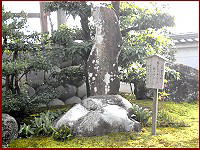 �t�Ȃ��@���������R�́@�������݁@�@�@�m��